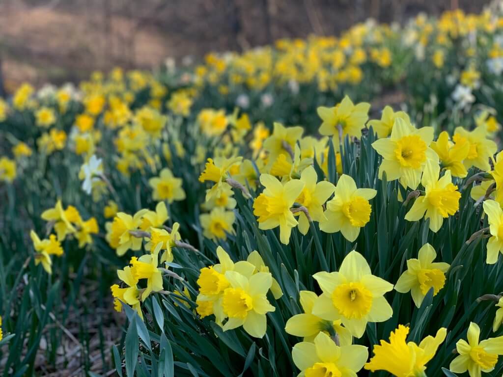 The Game Changing Reality of the Resurrection